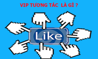 Vip Like Facebook là gì